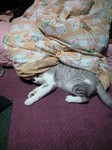 090420_2246~0001.jpg