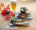 水郷やな